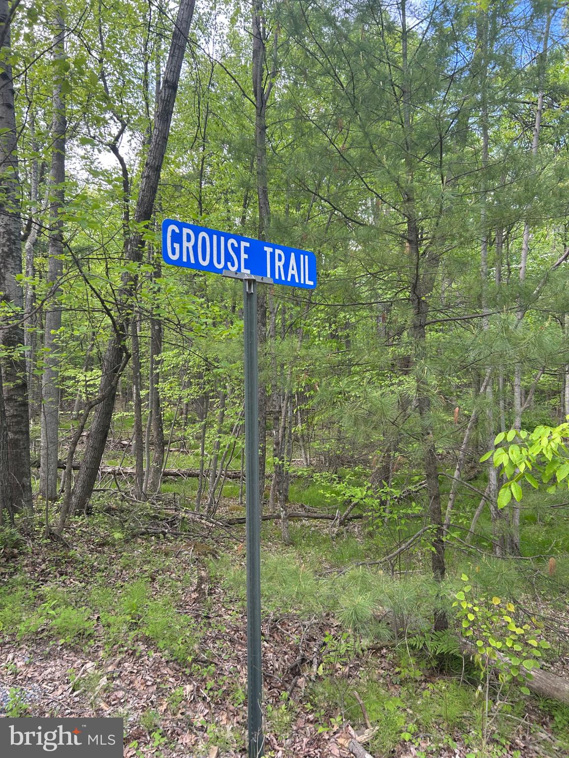 0 GROUSE TRL TRAIL