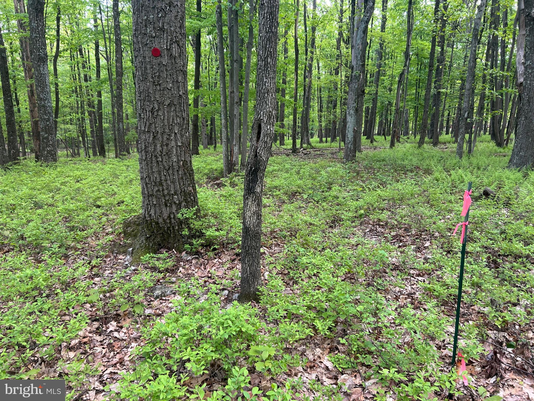 0 GROUSE TRL TRAIL