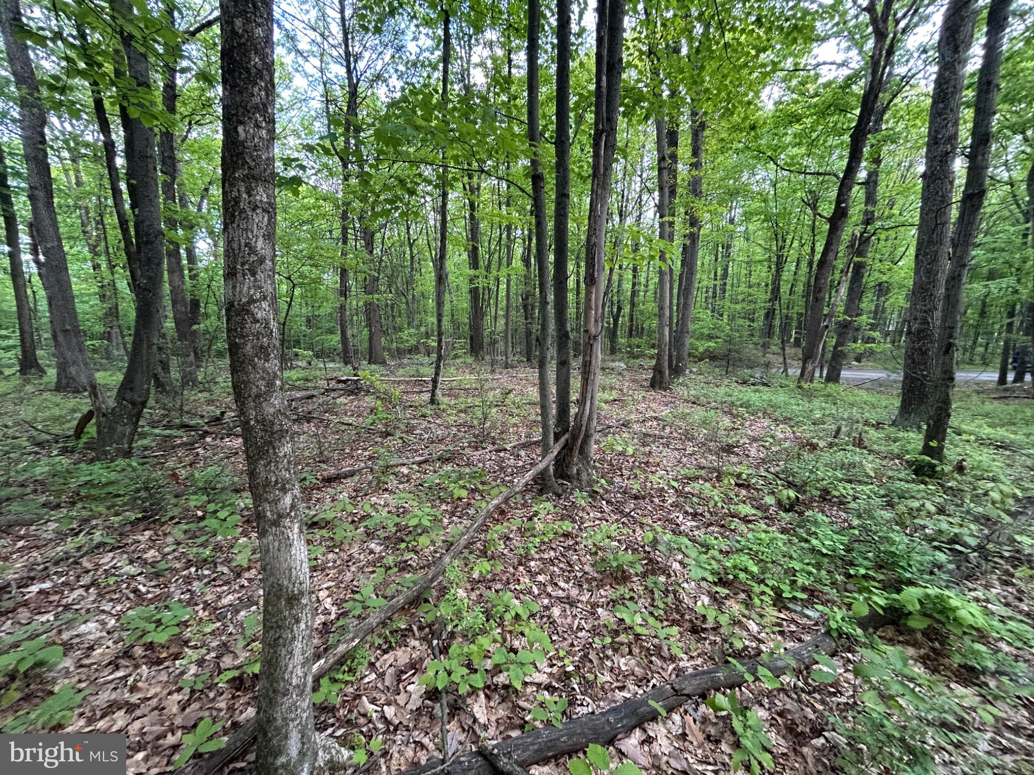 0 GROUSE TRL TRAIL