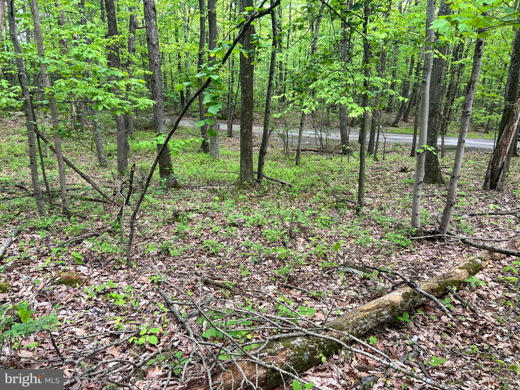 0 GROUSE TRL TRAIL