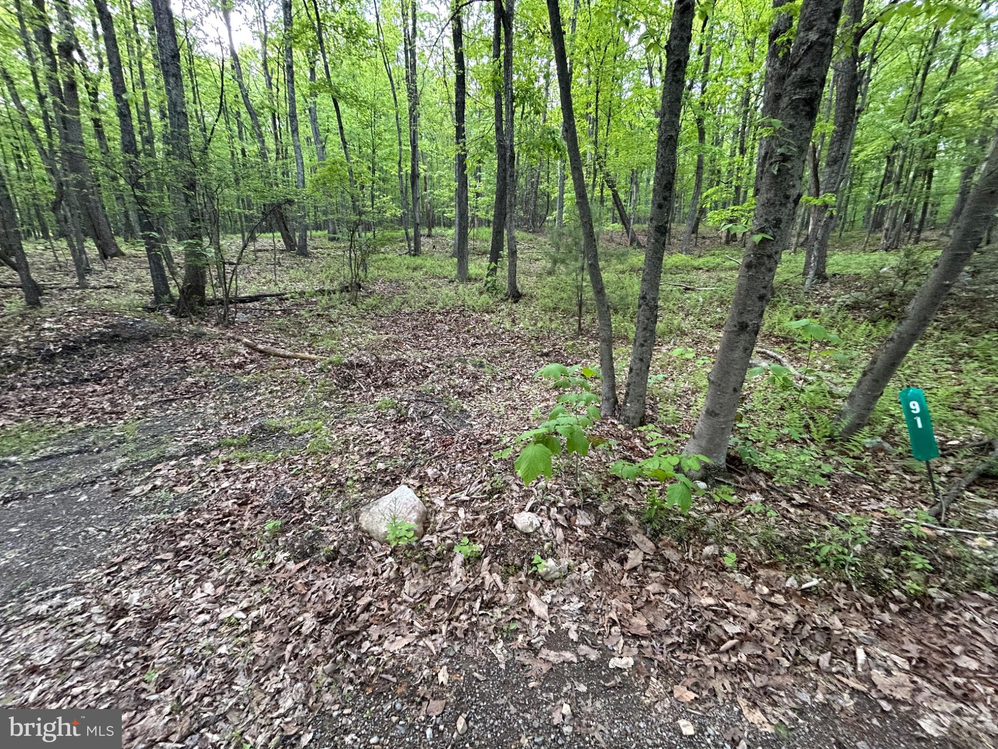 0 GROUSE TRL TRAIL