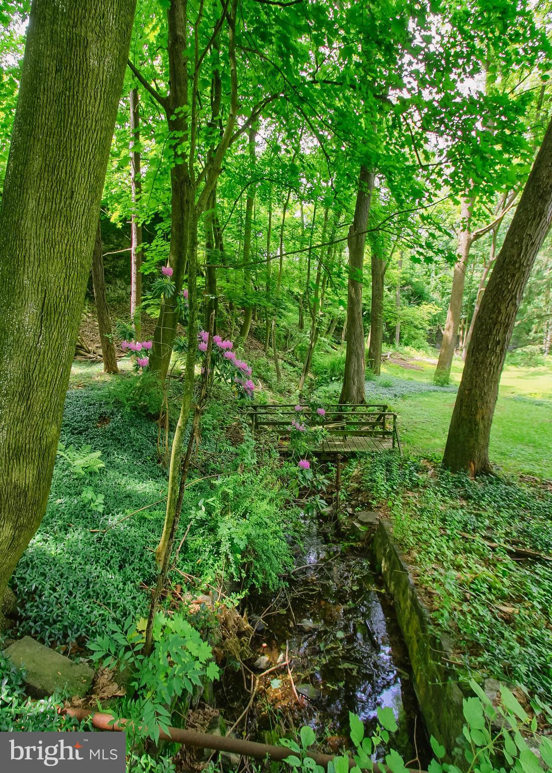 101 BURD COLEMAN ROAD