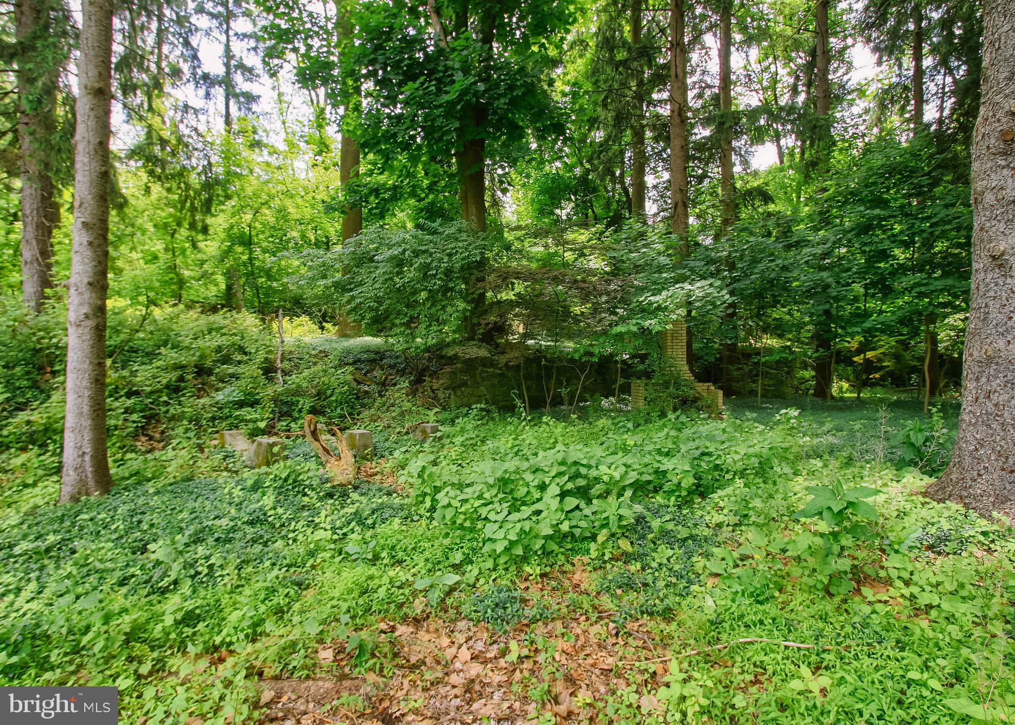 101 BURD COLEMAN ROAD