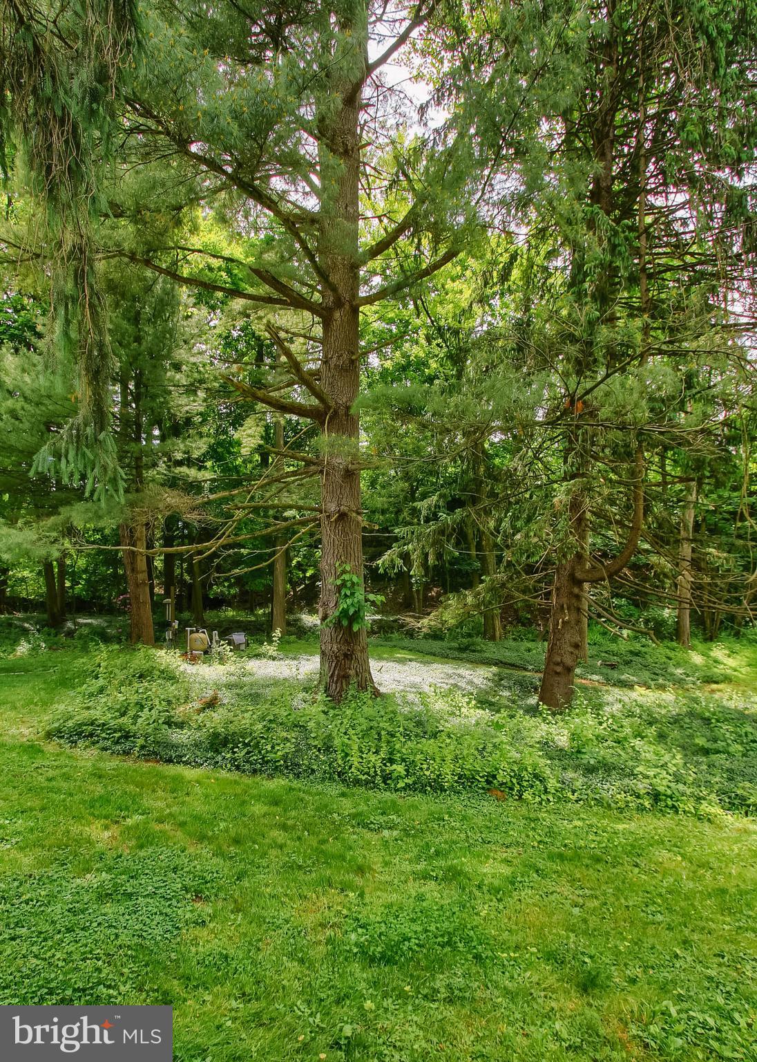 101 BURD COLEMAN ROAD