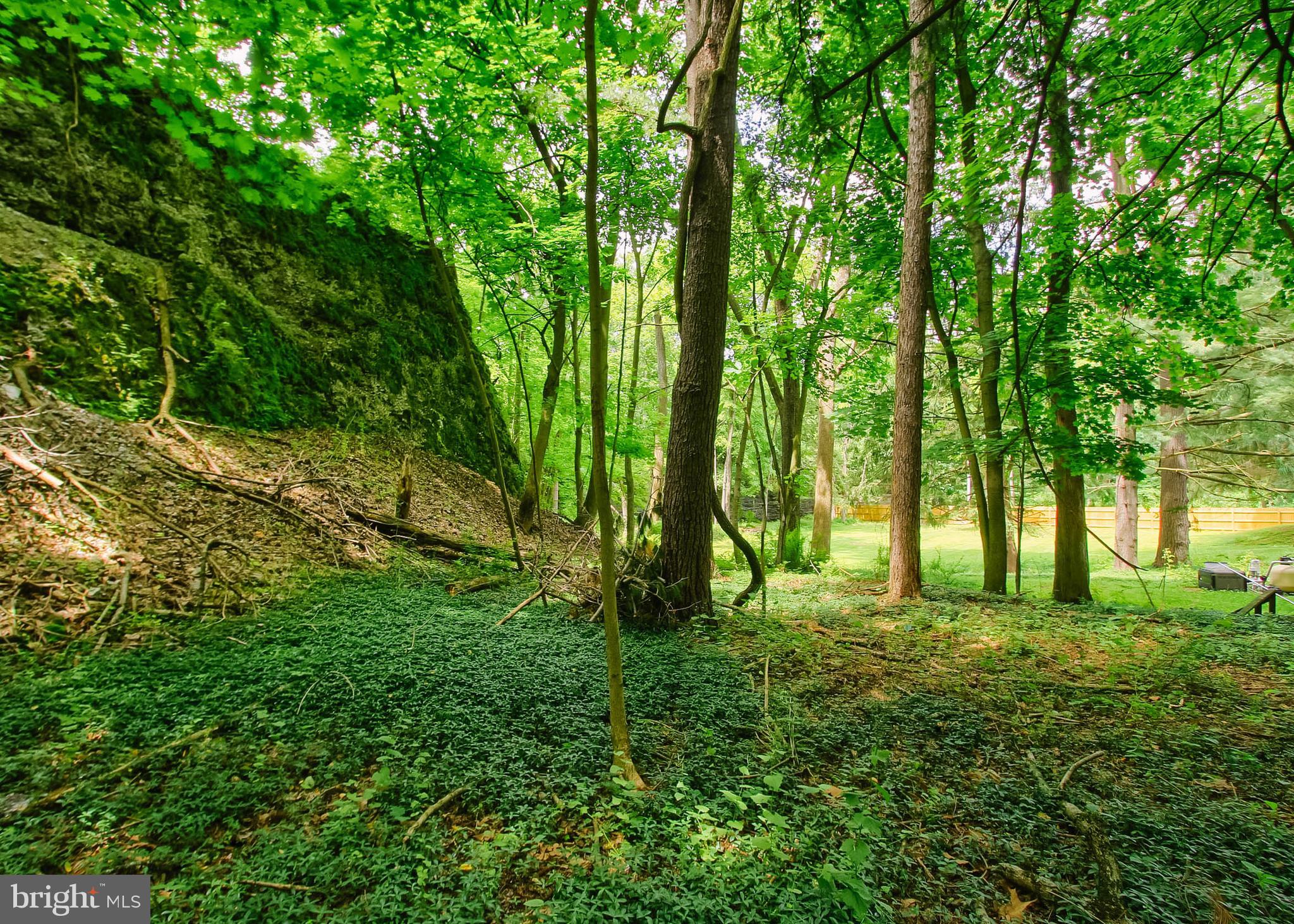 101 BURD COLEMAN ROAD