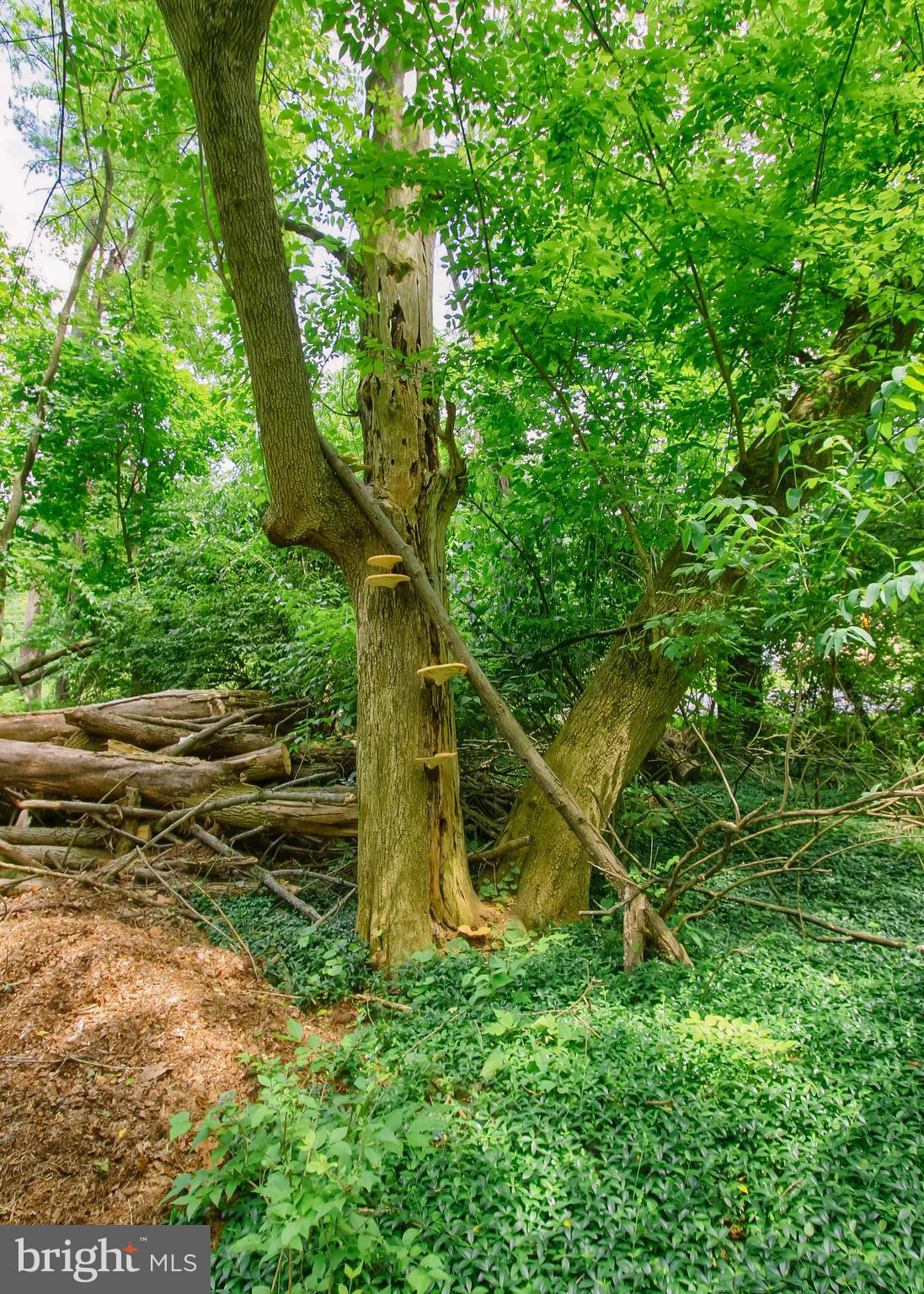 101 BURD COLEMAN ROAD