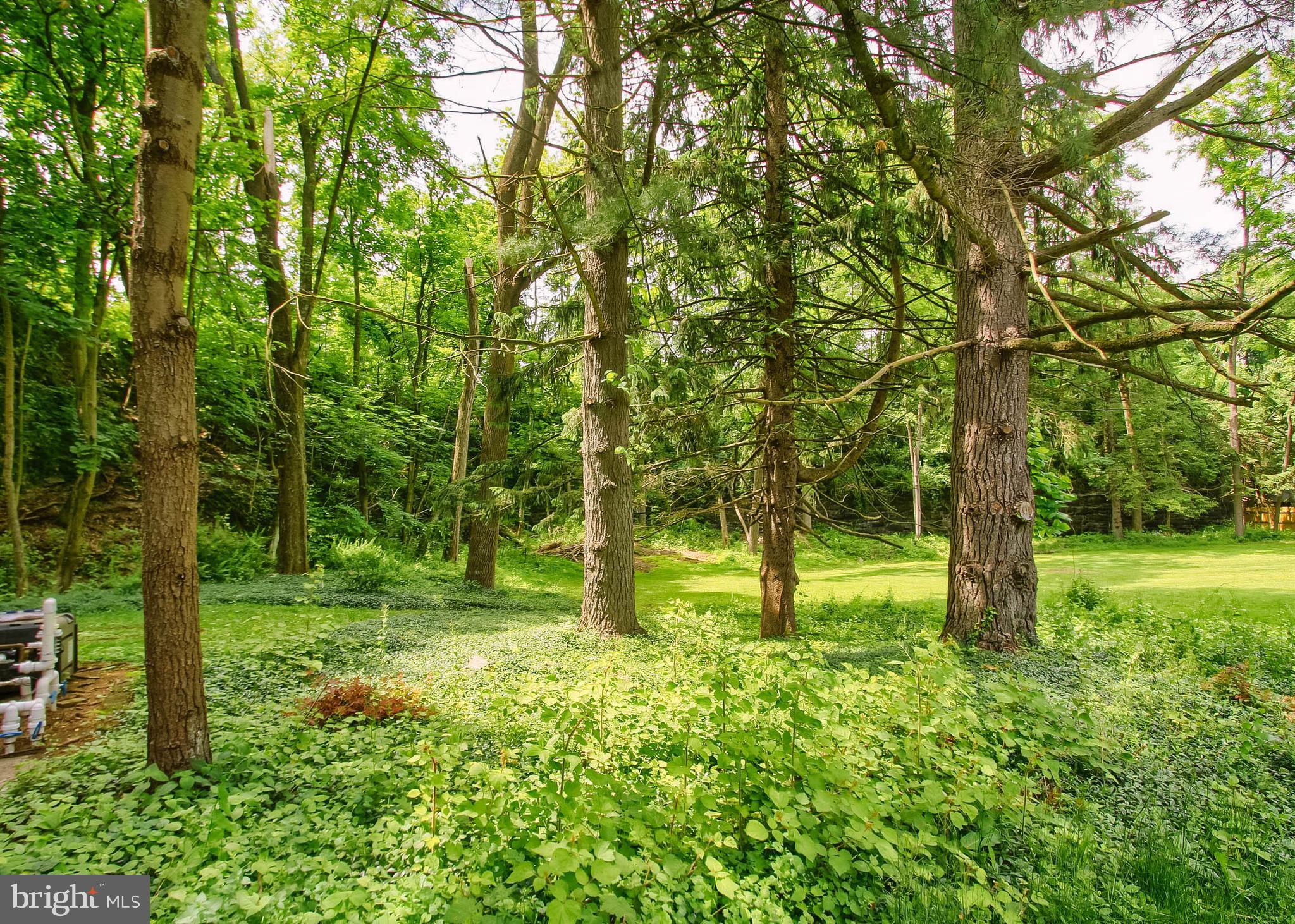 101 BURD COLEMAN ROAD