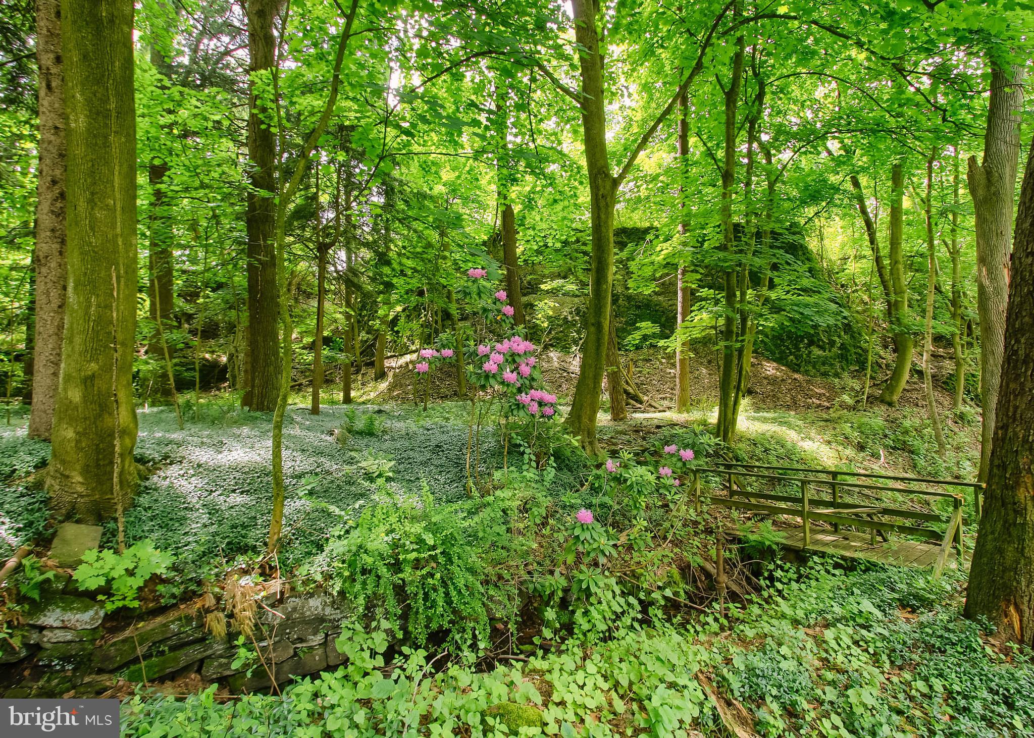 101 BURD COLEMAN ROAD