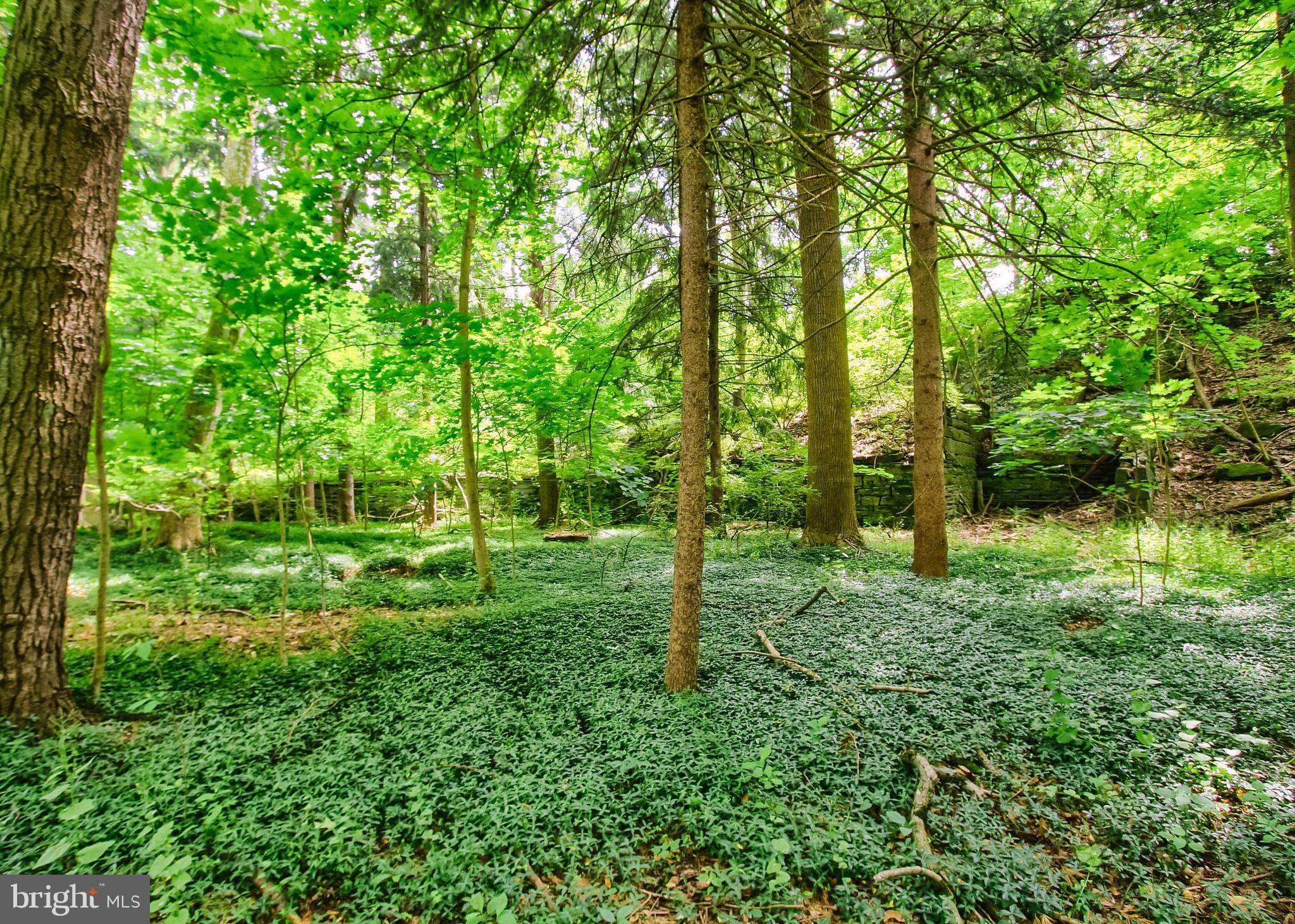 101 BURD COLEMAN ROAD