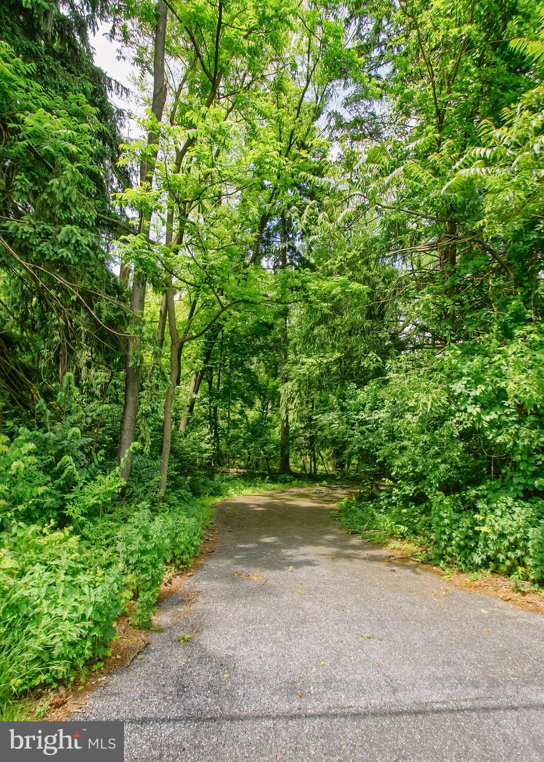 101 BURD COLEMAN ROAD