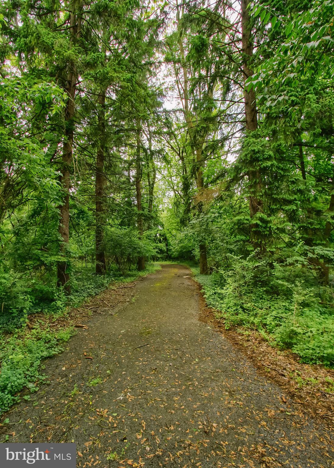 101 BURD COLEMAN ROAD