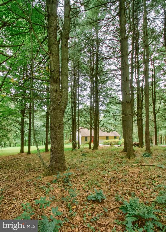 0 MARION DRIVE