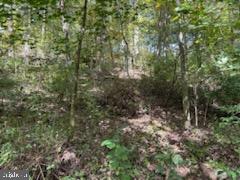 0 ROBIN TRL TRAIL