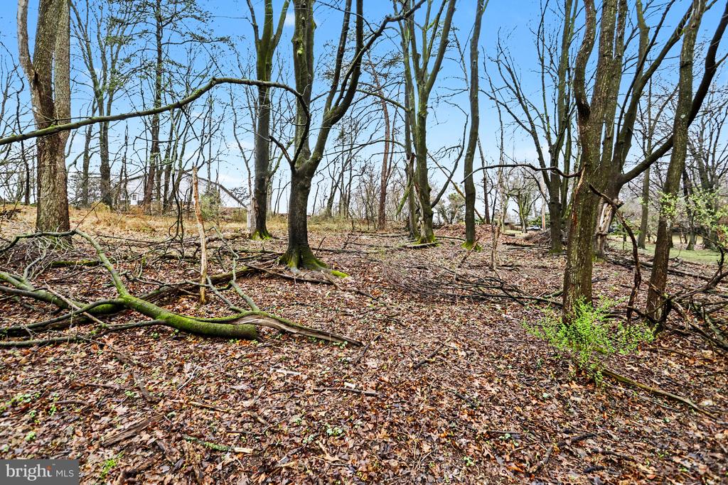 1940 ALCOTT ROAD