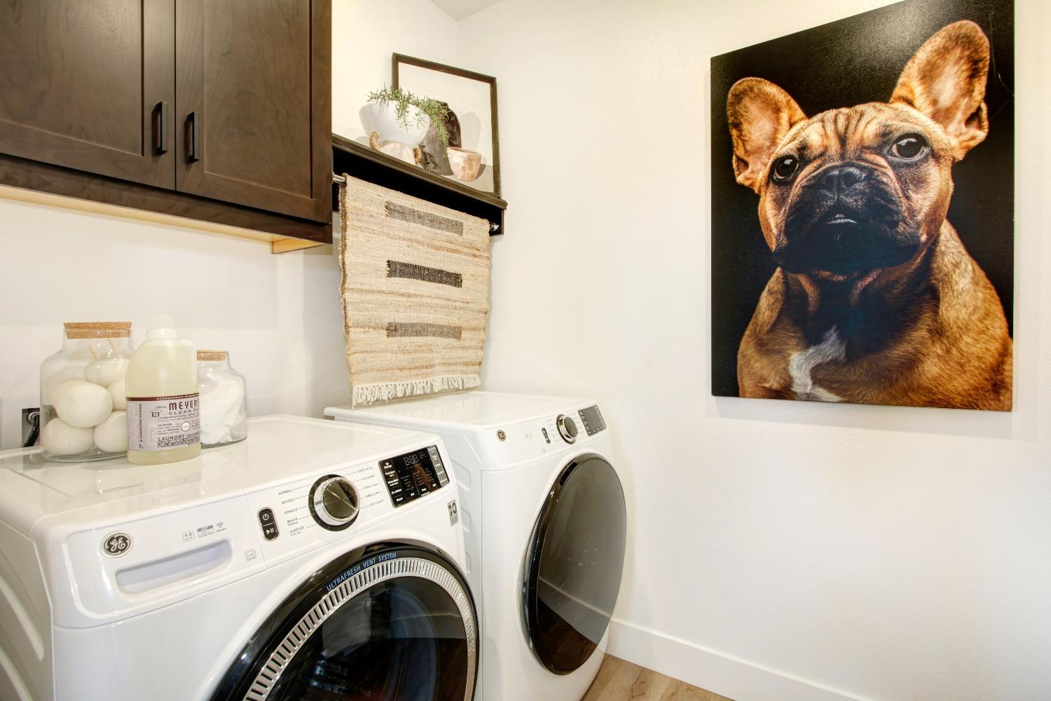 3026 Bedford Falls Way