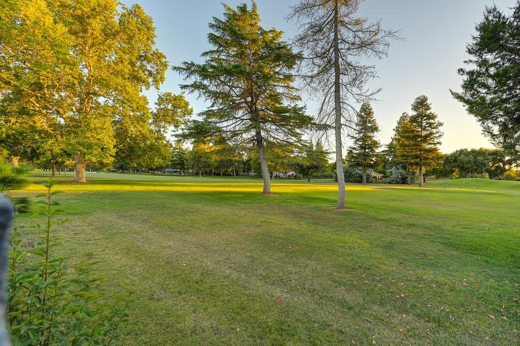 26894 Middle Golf Drive