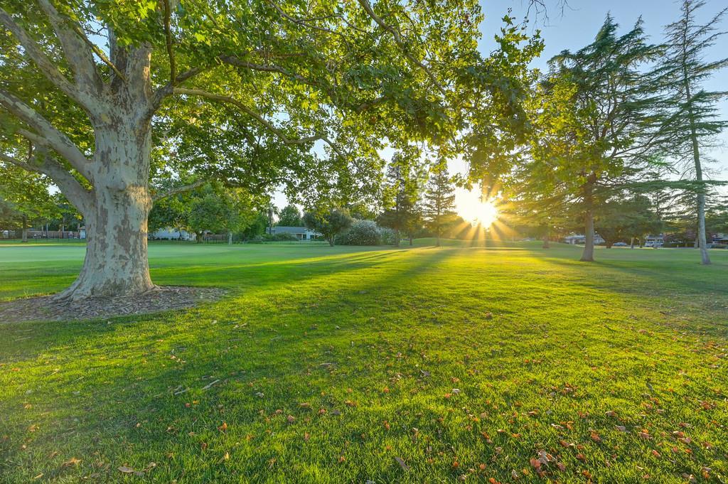 26894 Middle Golf Drive