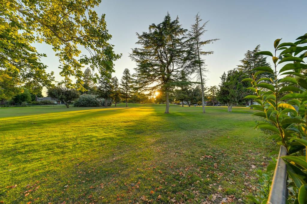 26894 Middle Golf Drive