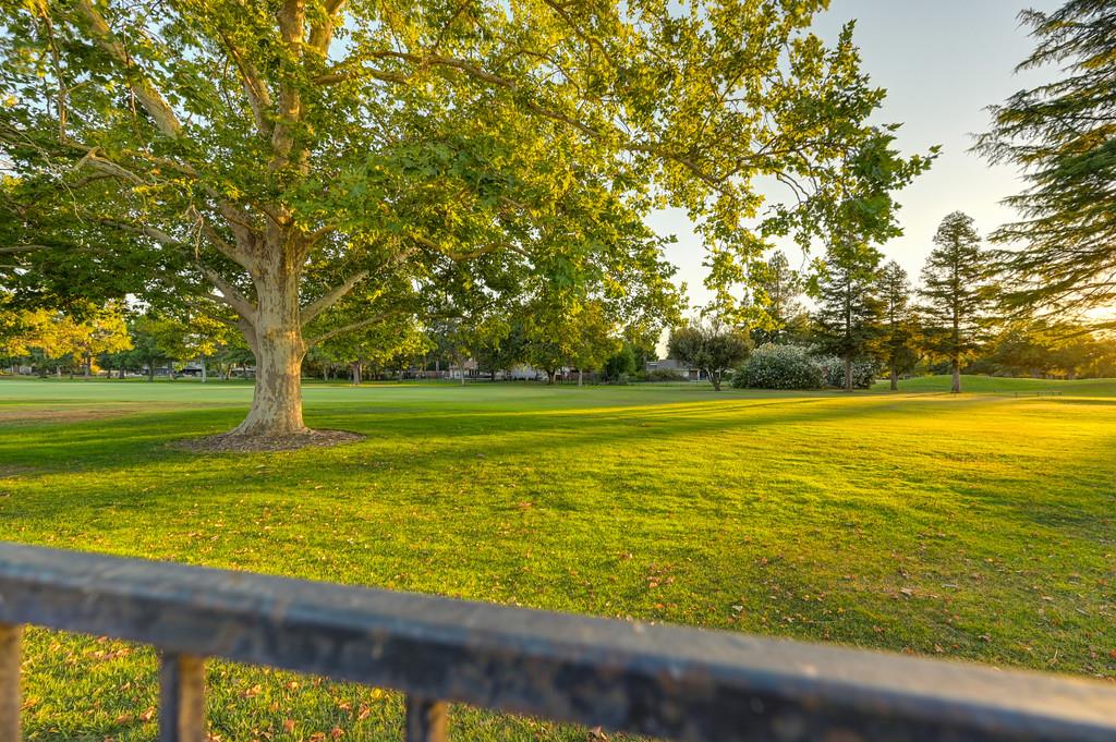 26894 Middle Golf Drive