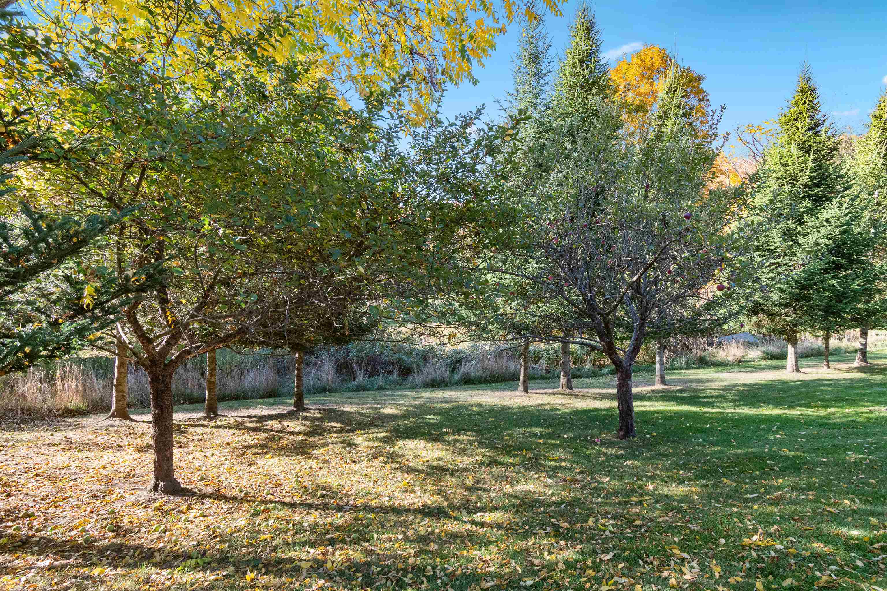 1632 Bradley Road