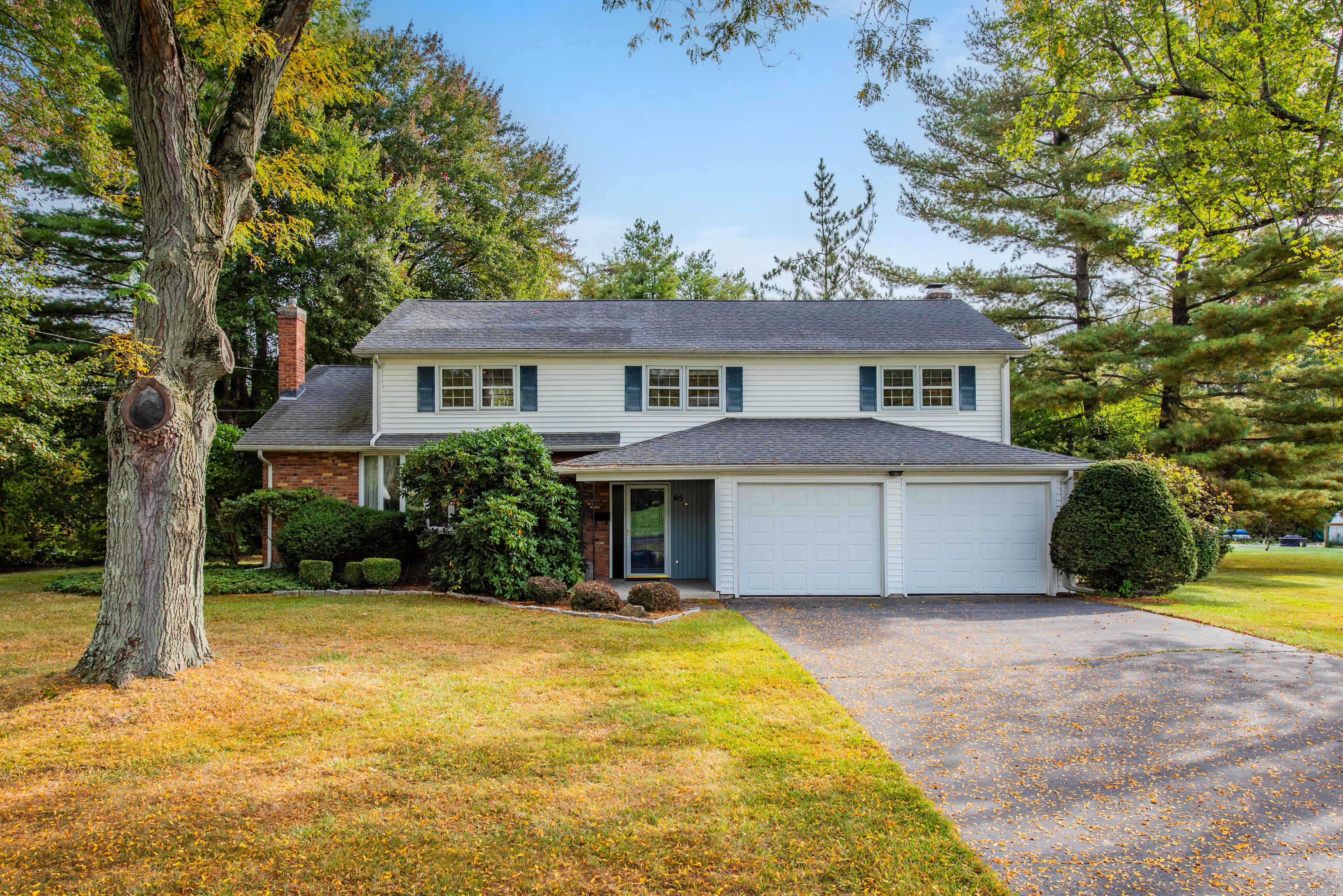 65 Burnwood Drive