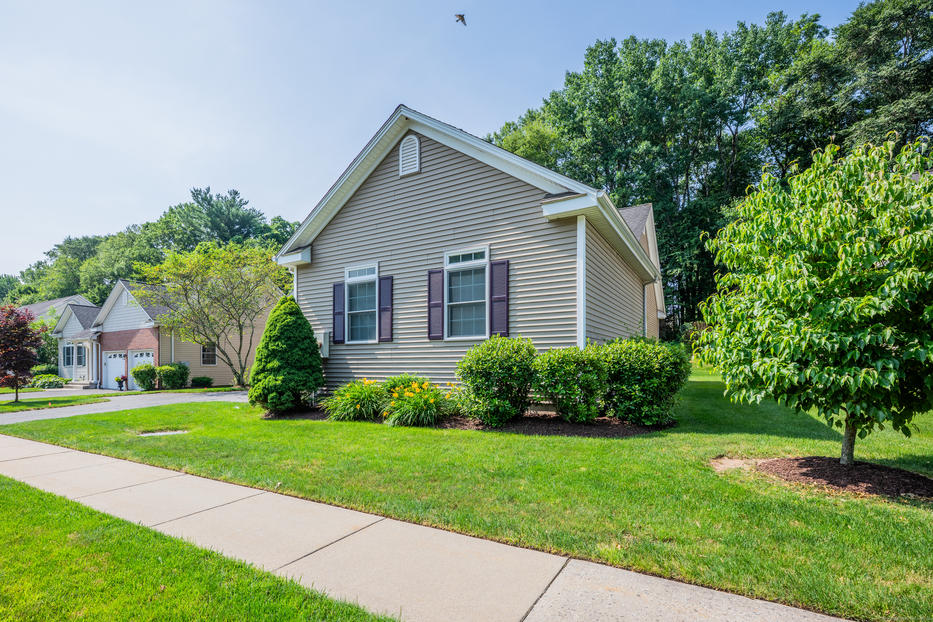71 Lavender Lane 71