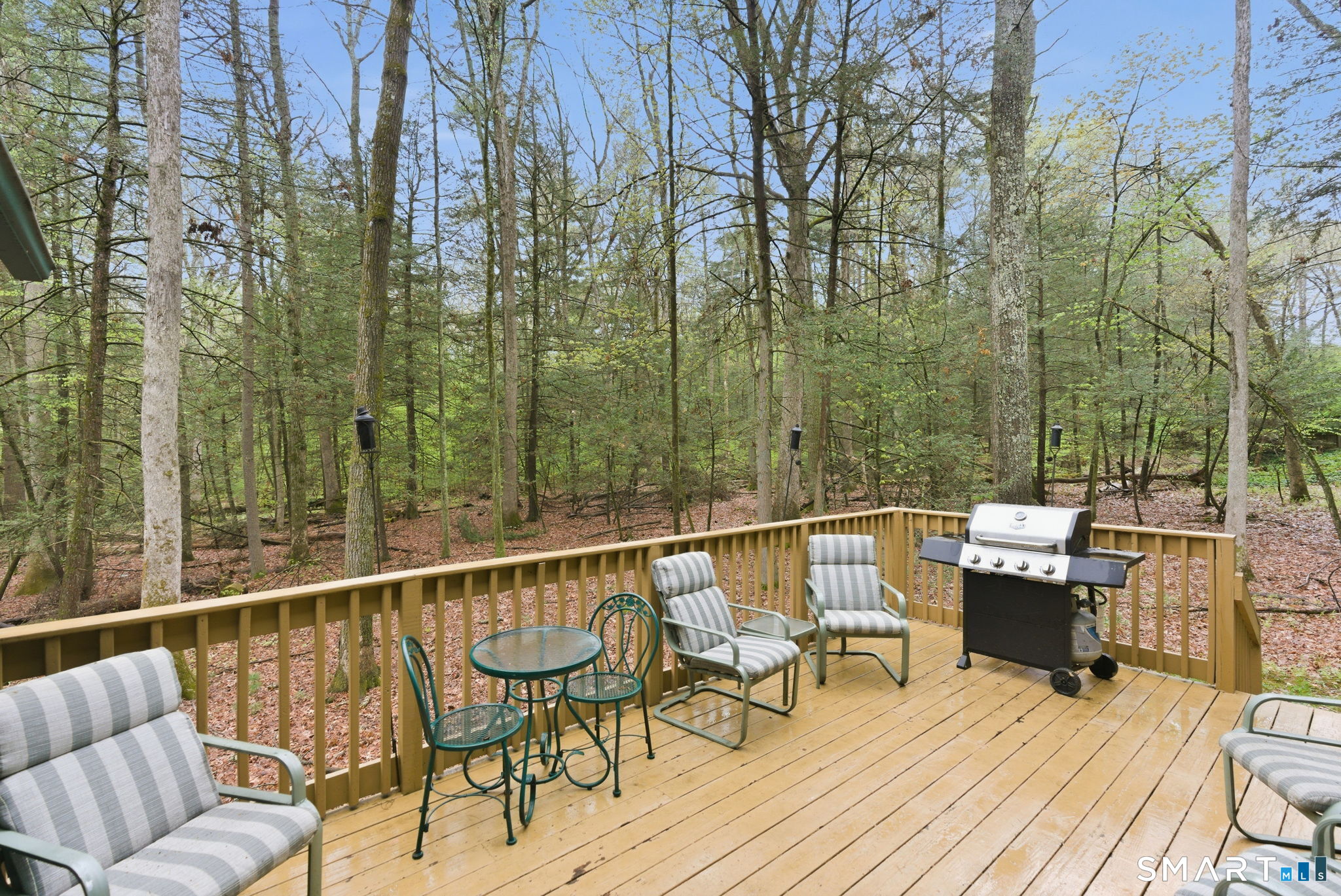 37 Tall Wood Hollow