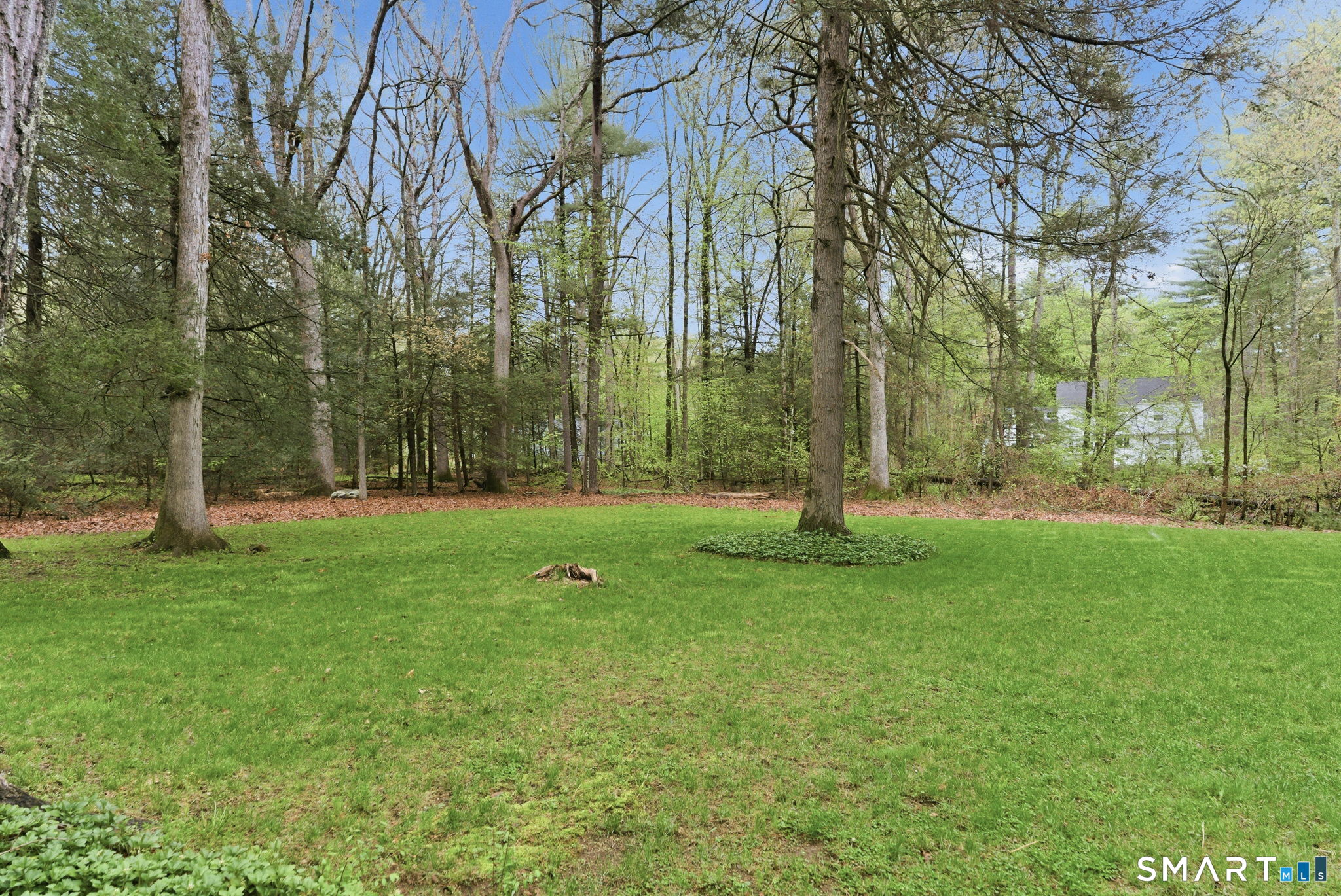 37 Tall Wood Hollow