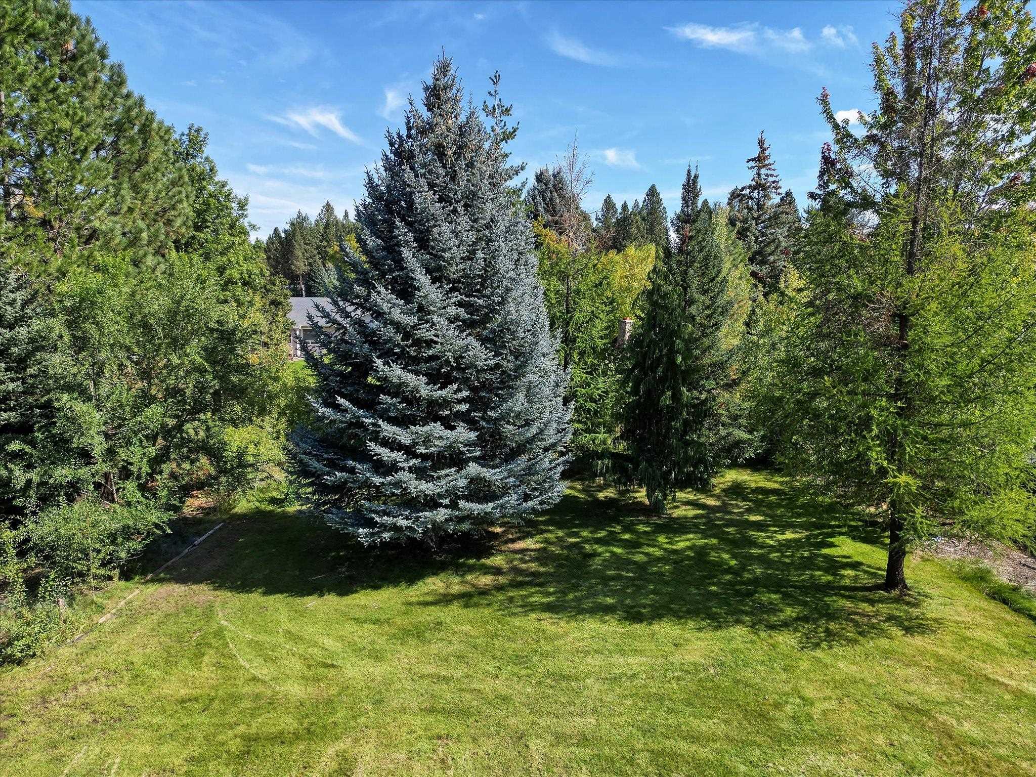 15710 N Chronicle Ct