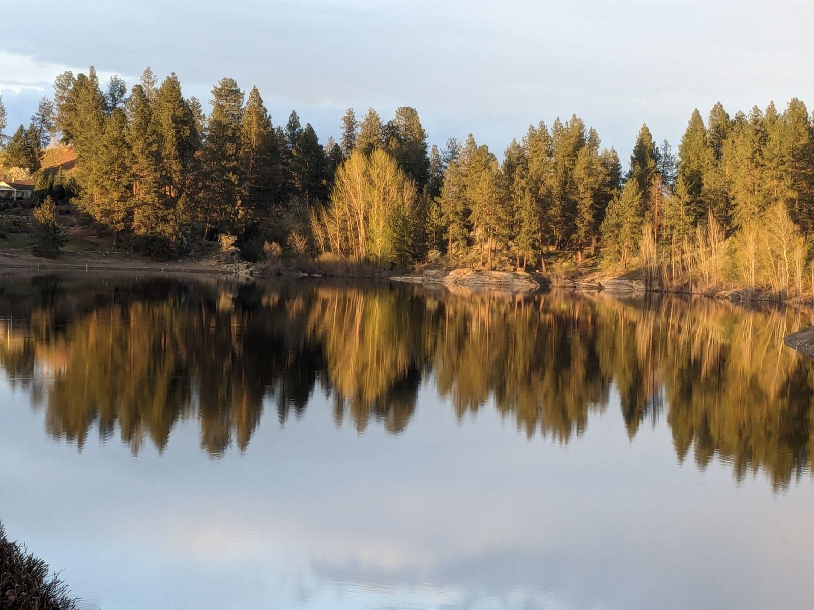 805 S Shelley Lake Ln