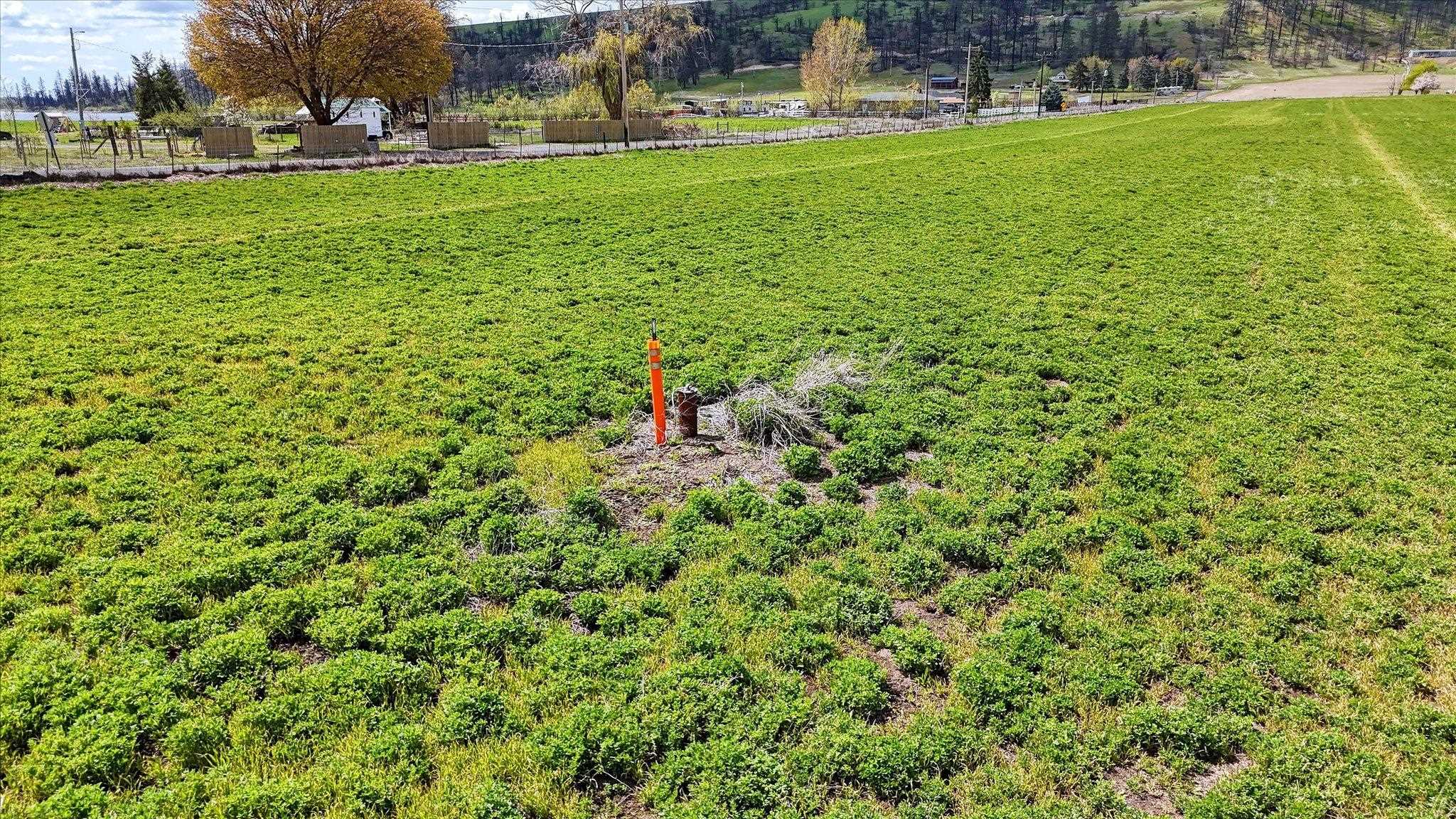 XXX ADDRESS UNKNOWN Rd