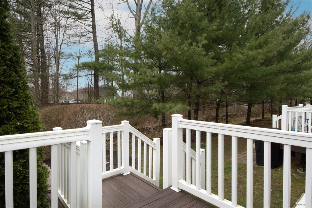 551 Bedford Street # A1