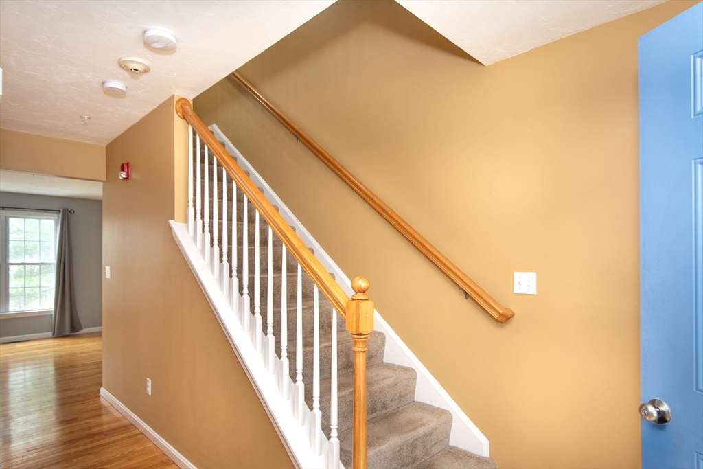 551 Bedford Street # A1