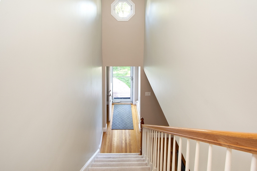 24 Briarwood Trail