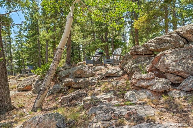 13432 Riley Peak Road