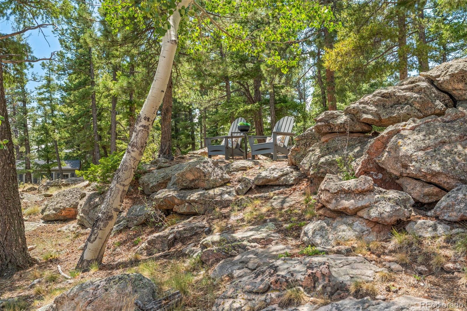 13432 Riley Peak Road