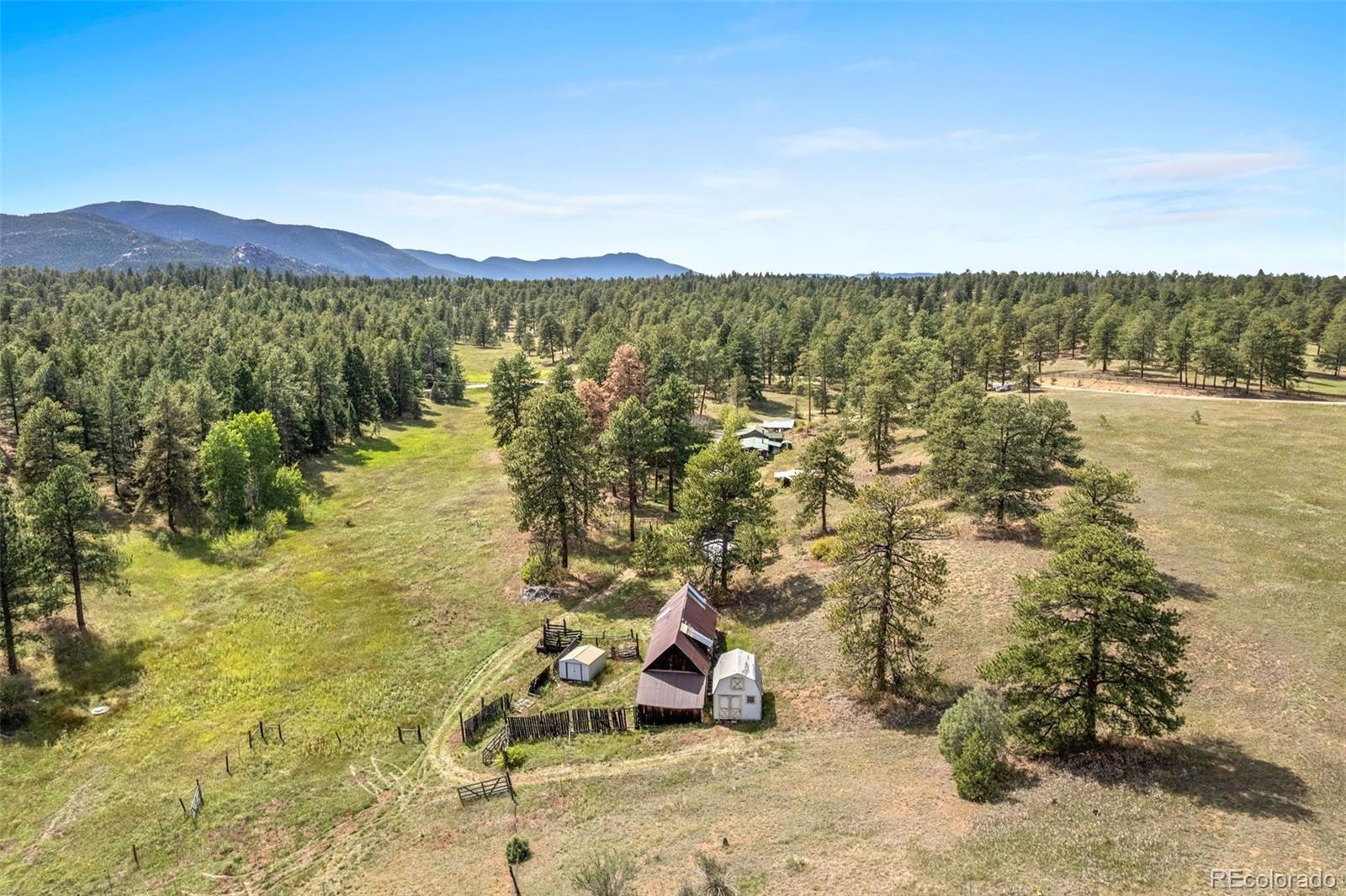 21555 Spring Creek Road