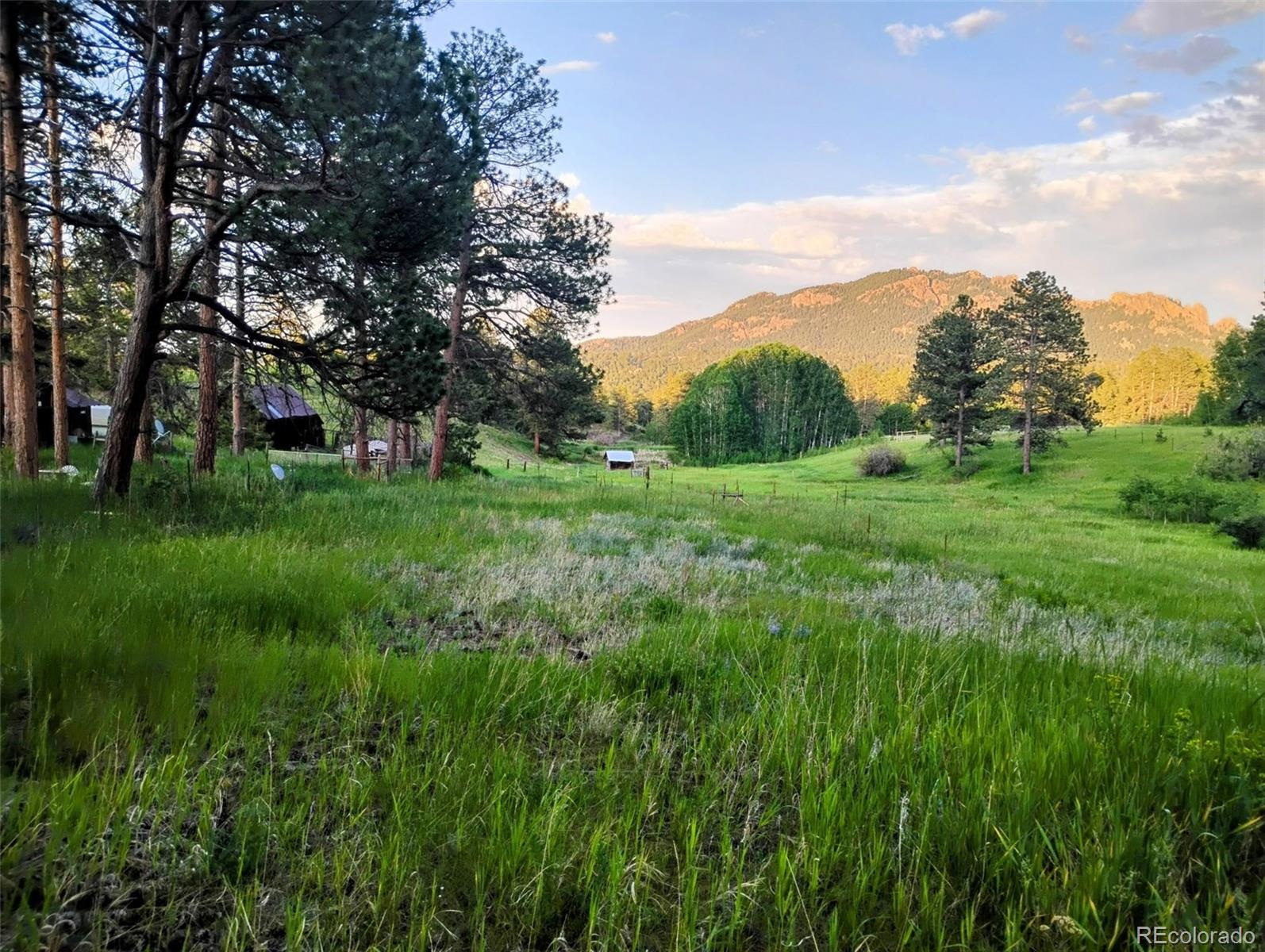 21555 Spring Creek Road