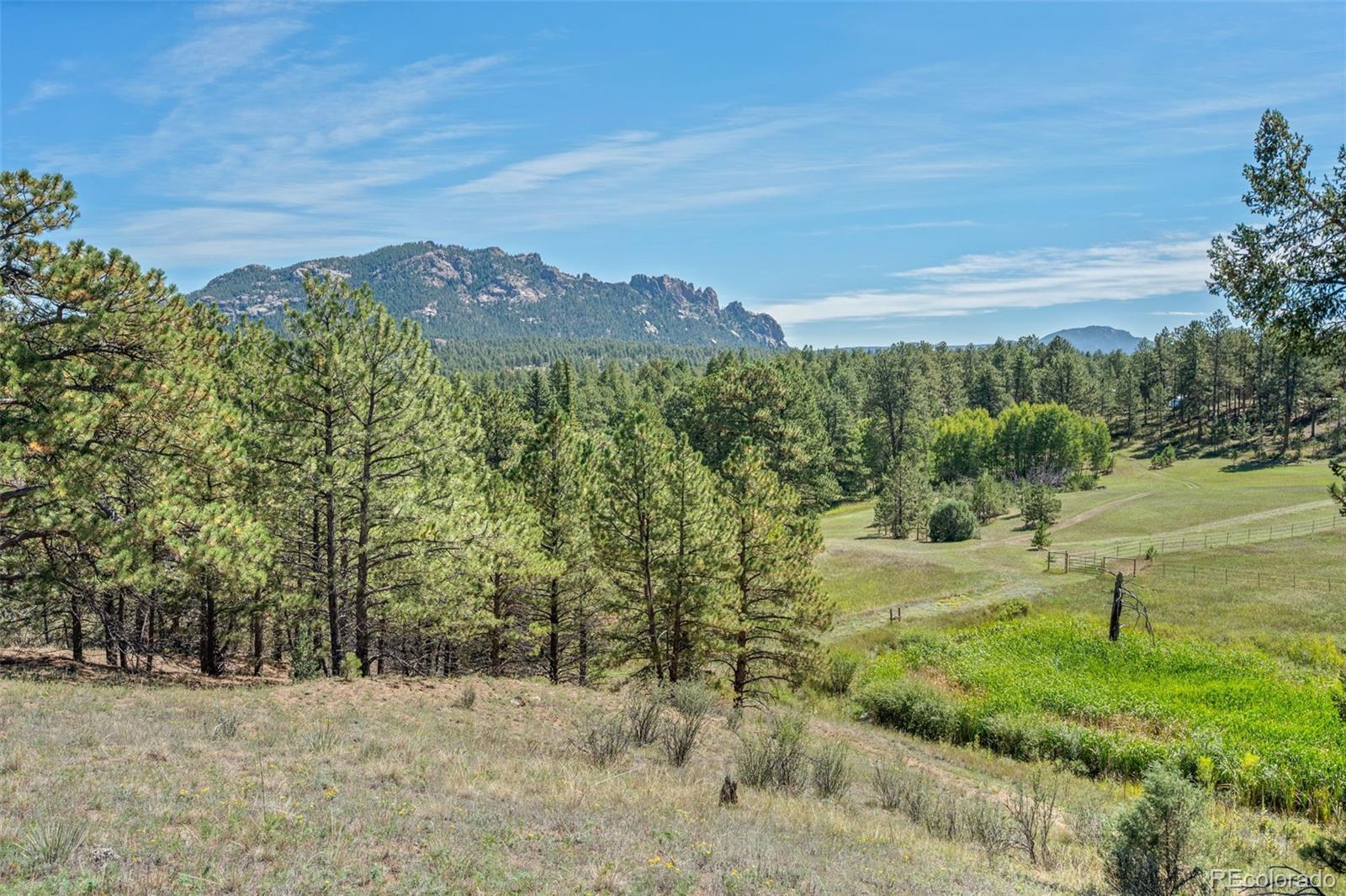 21555 Spring Creek Road