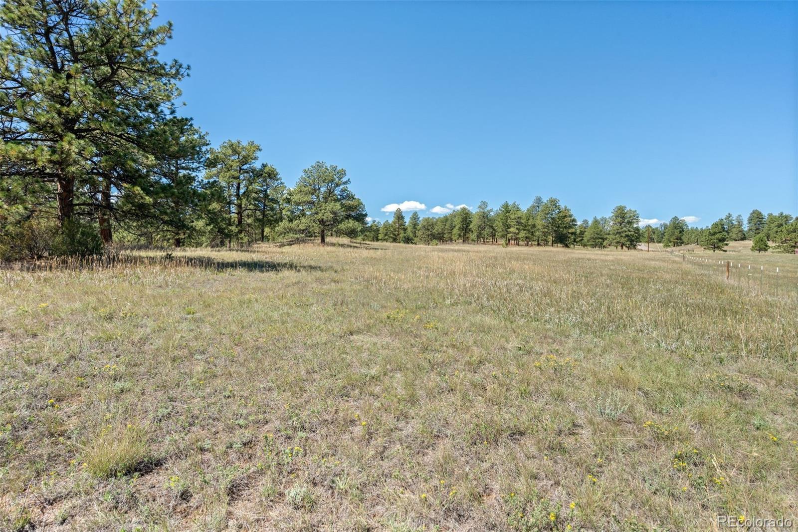 21555 Spring Creek Road