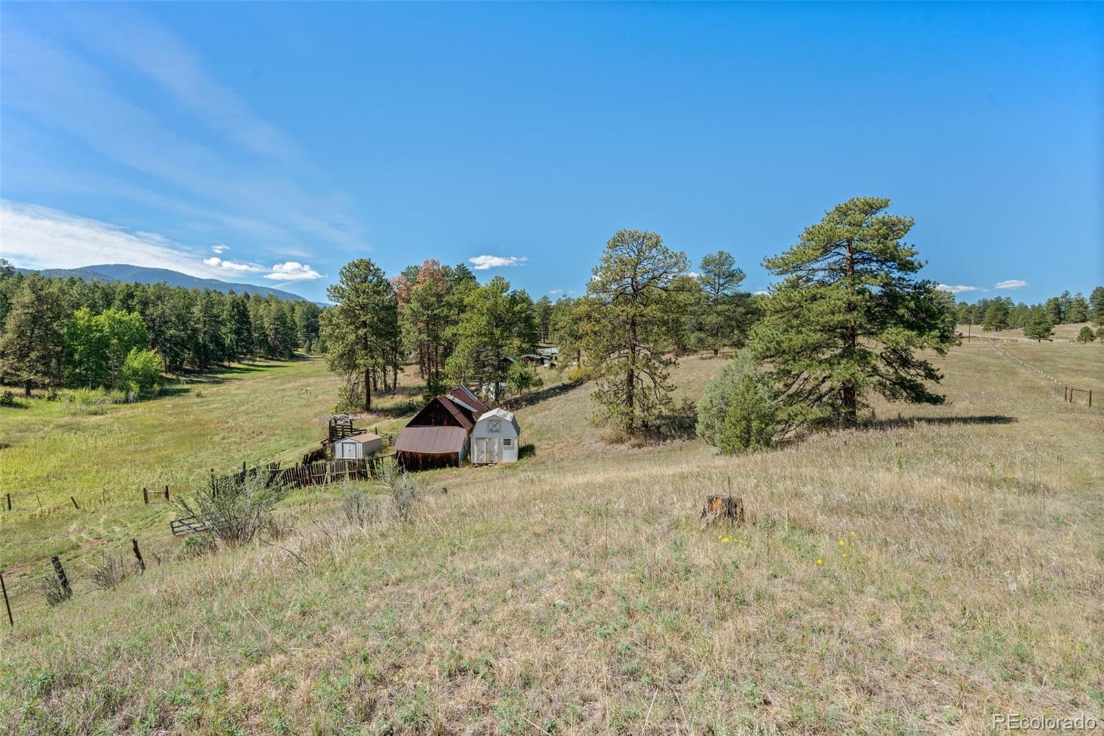 21555 Spring Creek Road