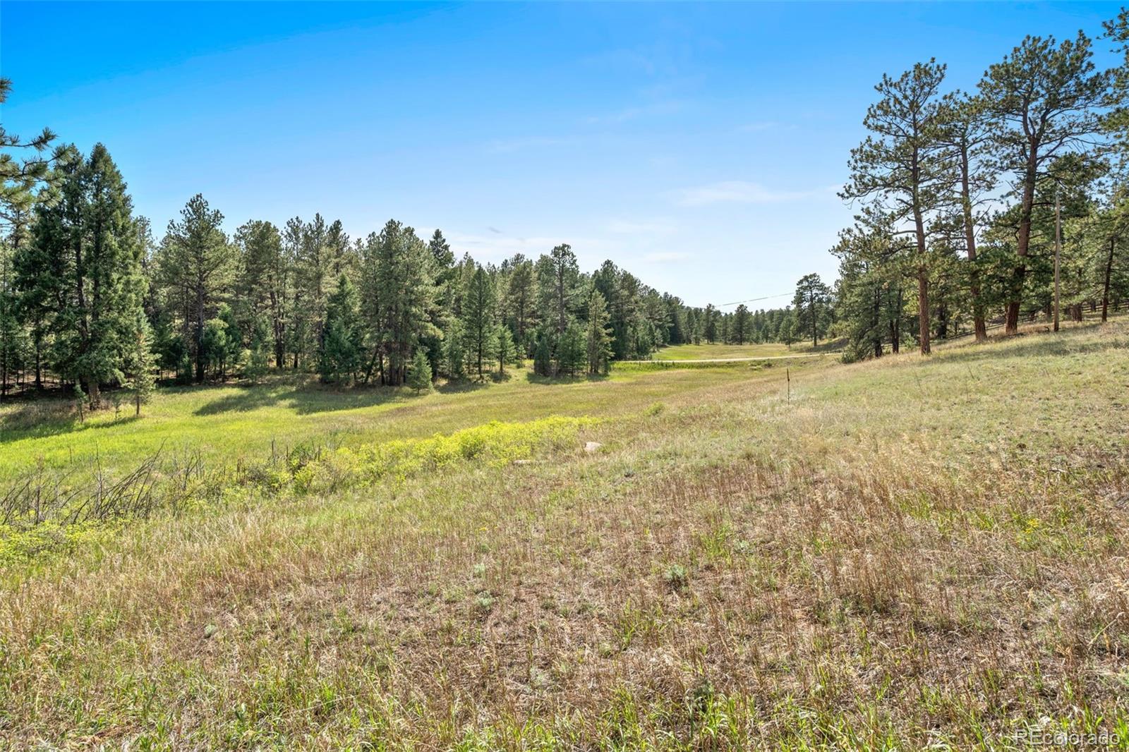 21555 Spring Creek Road