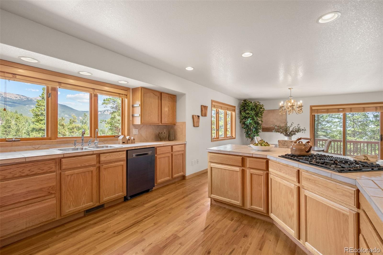 1363 Royal Ridge Drive