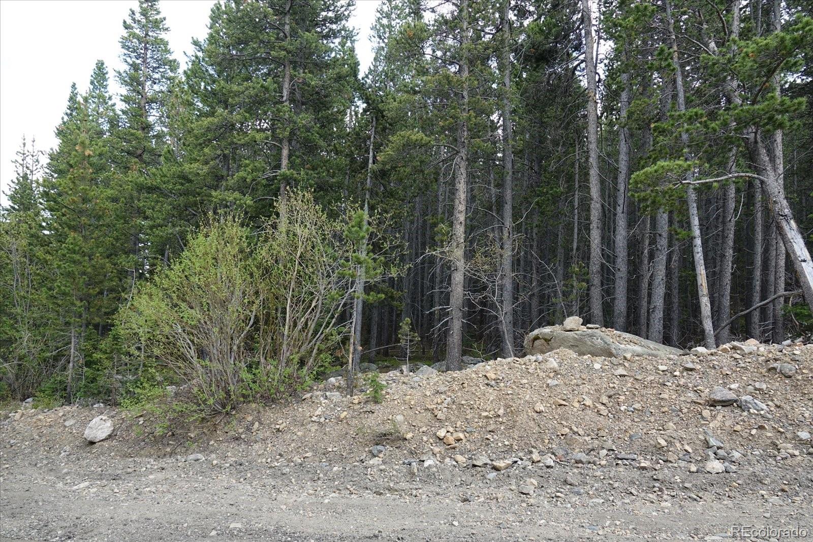 00 Upper Forest Rd
