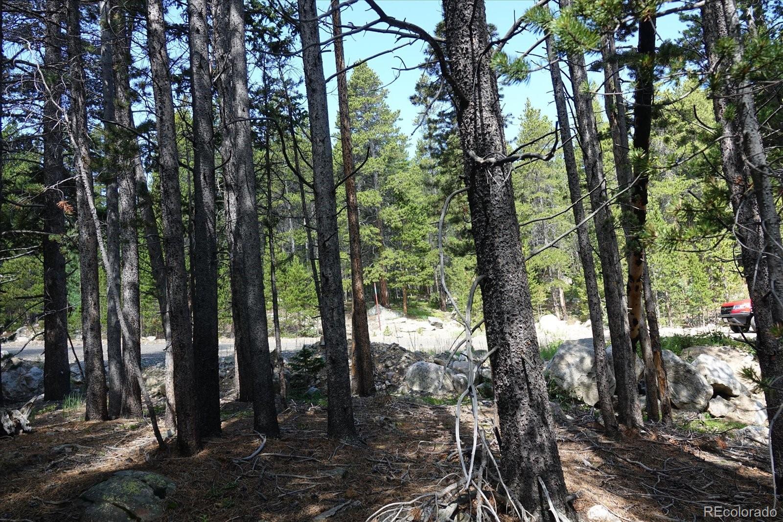 00 Upper Forest Rd