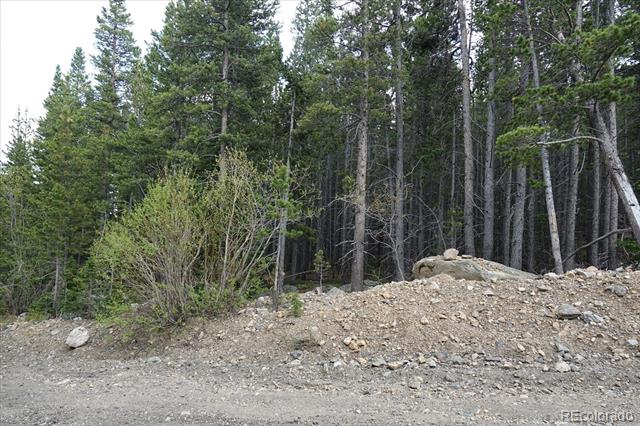 00 Upper Forest Rd