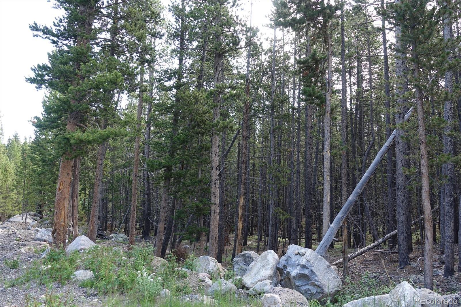 00 Upper Forest Rd