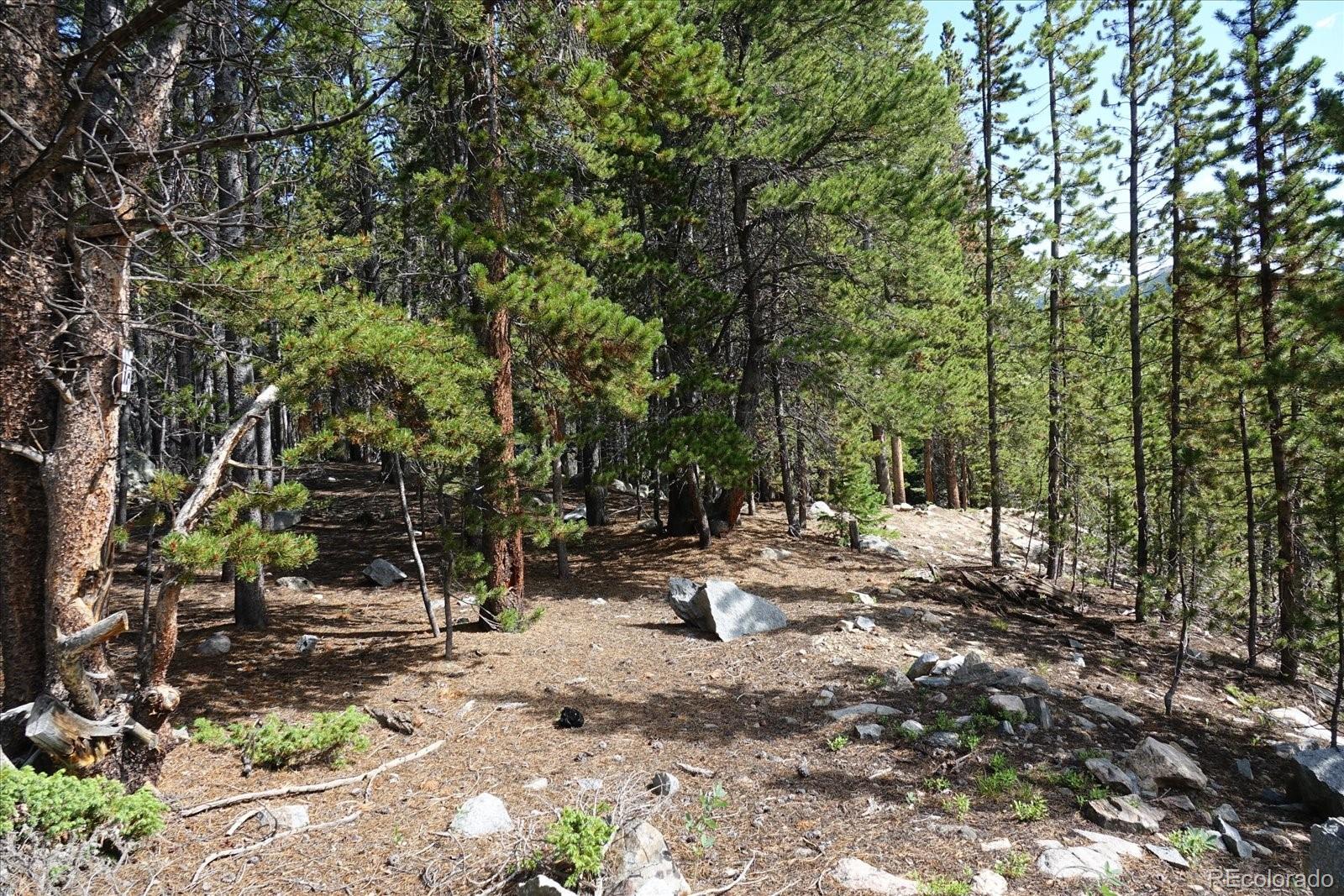 00 Upper Forest Rd