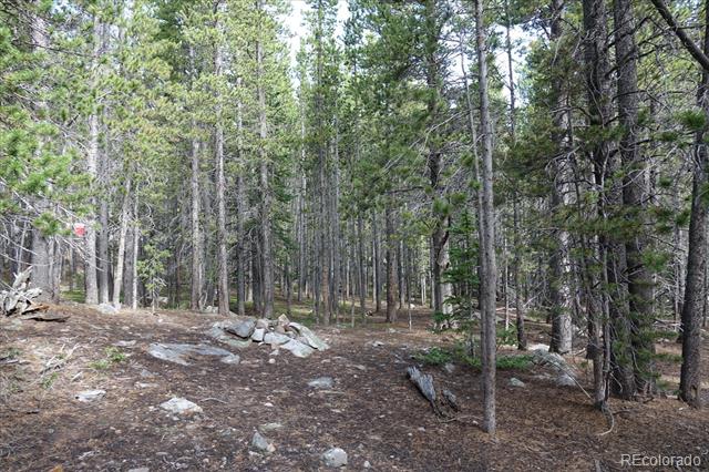 00 Upper Forest Rd