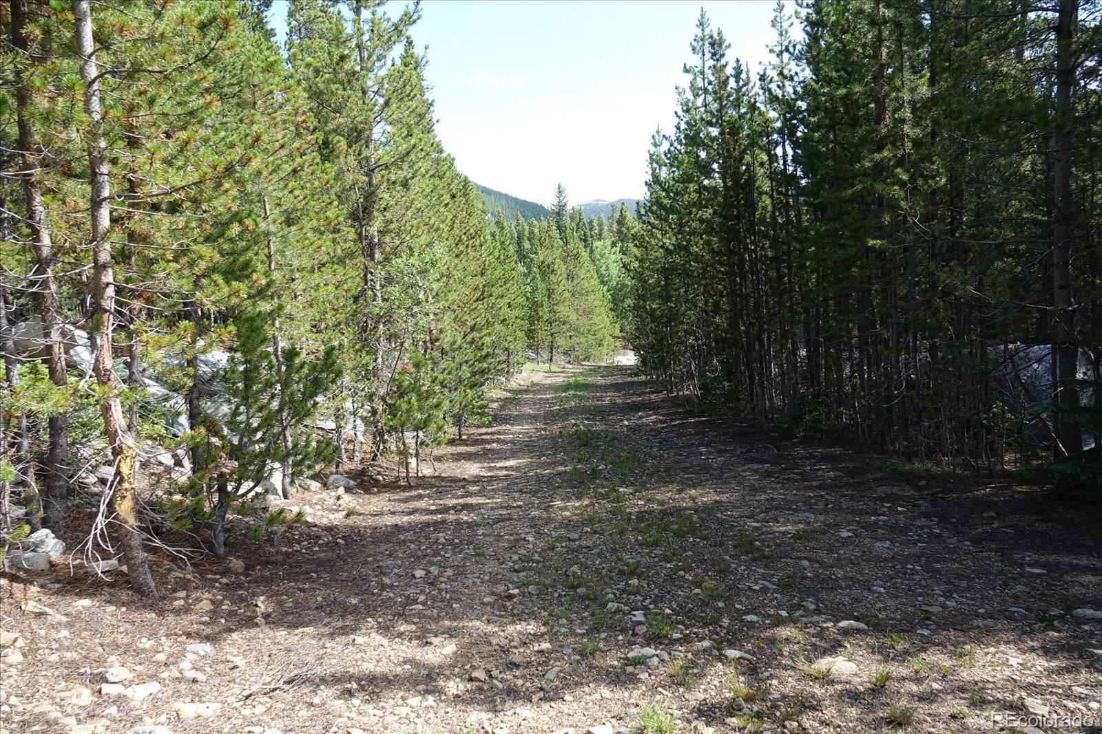 00 Upper Forest Rd